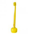 Base cepillo de dientes