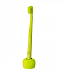 Base cepillo de dientes