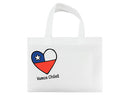 Bolsa TNT Vamos Chile